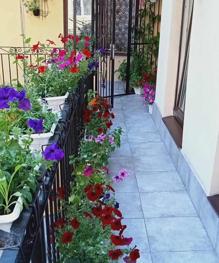 Svitla Zatyszna: Cozy Central Apartment with Balcony Near Opera Lviv